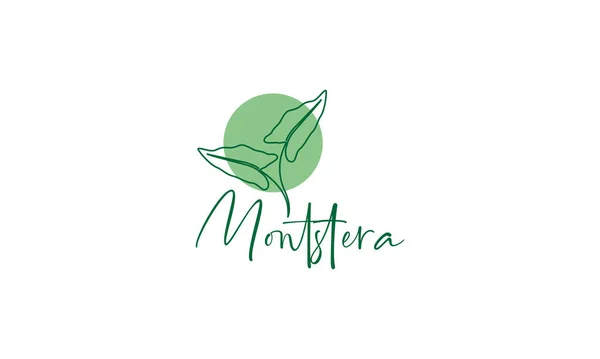 Γραμμές Ομορφιάς Πράσινο Φυτό Monstera Λογότυπο Εικονίδιο Διάνυσμα Γραφική Απεικόνιση — Διανυσματικό Αρχείο