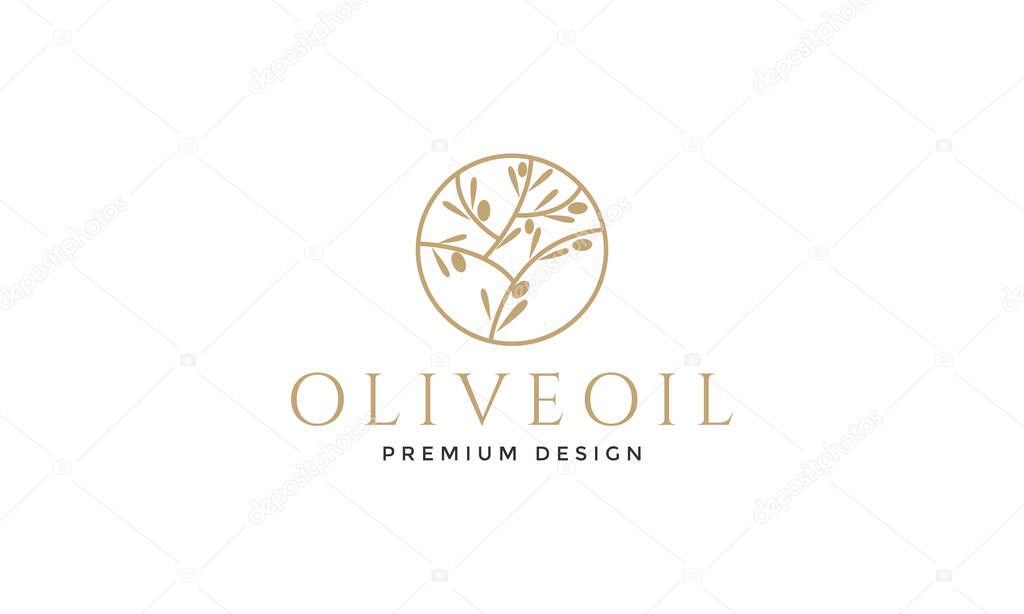 Olive oil leaf luxury logo symbol vector icon illustration graphic design
