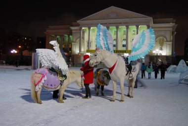 Tyumen Bolşoy Tiyatrosu yakınlarında kanatlı bir midilli, Tyumen, Rusya, Ocak 2021
