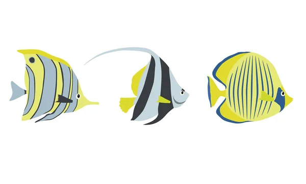 ดของการออกแบบส ปลาทะเลเขตร อนแบน ทะเลปลา ปลาทะเลช ตใต าในร ปแบบการ าธรรมชาต ภาพวาดแปลกใหม — ภาพเวกเตอร์สต็อก