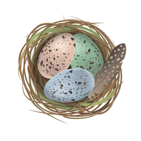 Huevos Pascua Color Natural Plumas Nido Codorniz Estilo Realista Muy — Archivo Imágenes Vectoriales