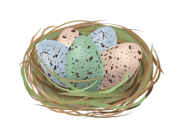 Realistic Bird Nest Blue Pink Green Speckled Eggs Quail Easter — Stock Vector