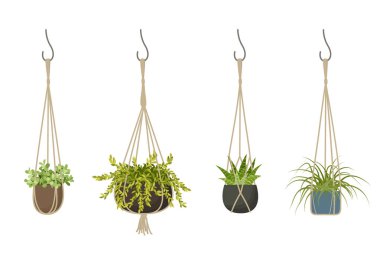 Decorative macrame hanging planter set. Green House plants in pots. Indoor flower pot collection for home decoration. Boho design element. Flat Cartoon Vector illustration isolated on white background clipart