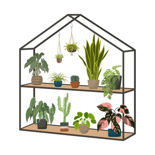 Házi Cserepes Növények Üvegházban Városi Dzsungel Trendi Dekoráció Házikert Lakberendezés — Stock Vector