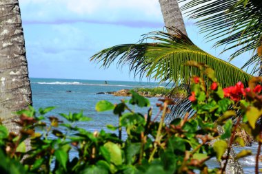 Beach Morro de São Paulo, Brezilya
