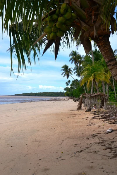 Negyedik beach Morro de São Paulo, Brazília — Stock Fotó