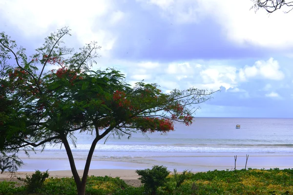 Praia em Fernando de Noronha, Brasil — Fotografia de Stock