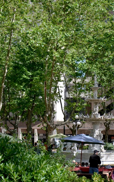 Plaza en montevideo — Foto de Stock