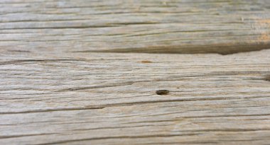 Eski doğal arka plan ağaç