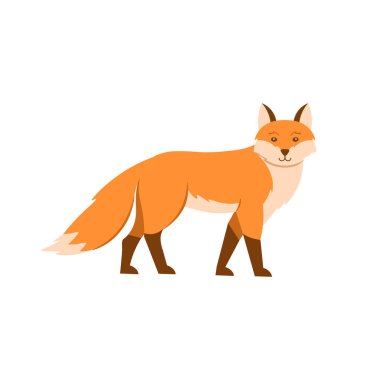  Beyaz arka planda çizgi film tilkisi. Çocuklar için düz çizgi film çizimi.