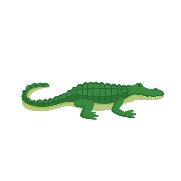 Cartoon Krokodil Auf Weißem Hintergrund Flache Cartoon Illustration Für Kinder — Stockvektor