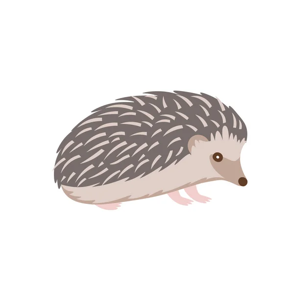 Cartoon Hedgehog White Background Flat Cartoon Illustration Kids — Stock Vector