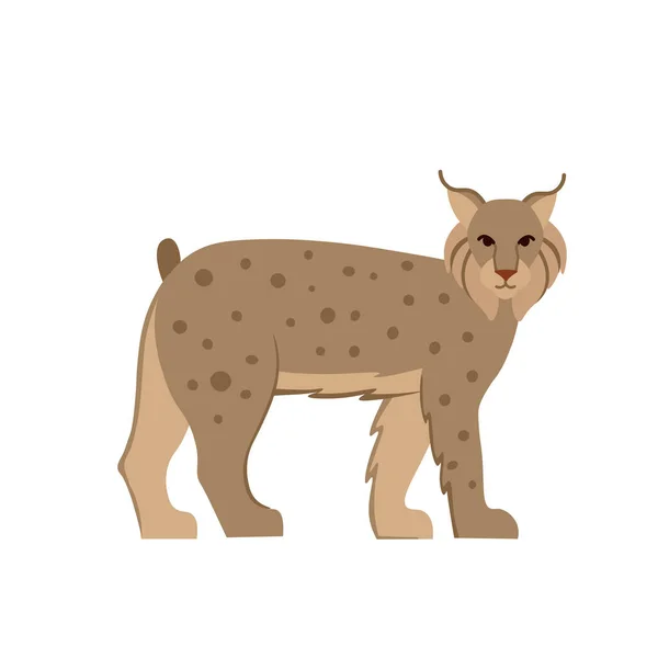 Cartoon Lynx Λευκό Φόντο Επίπεδη Απεικόνιση Κινουμένων Σχεδίων Για Παιδιά — Διανυσματικό Αρχείο