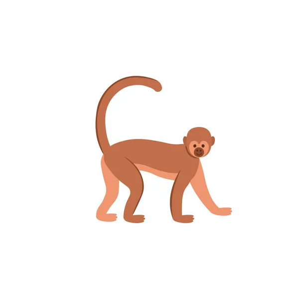 Macaco Dos Desenhos Animados Fundo Branco Desenhos Animados Planos Ilustração — Vetor de Stock