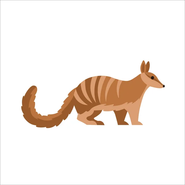 Cartoon Marsupial Anteater Nambat Bílém Pozadí Ploché Kreslené Ilustrace Pro — Stockový vektor