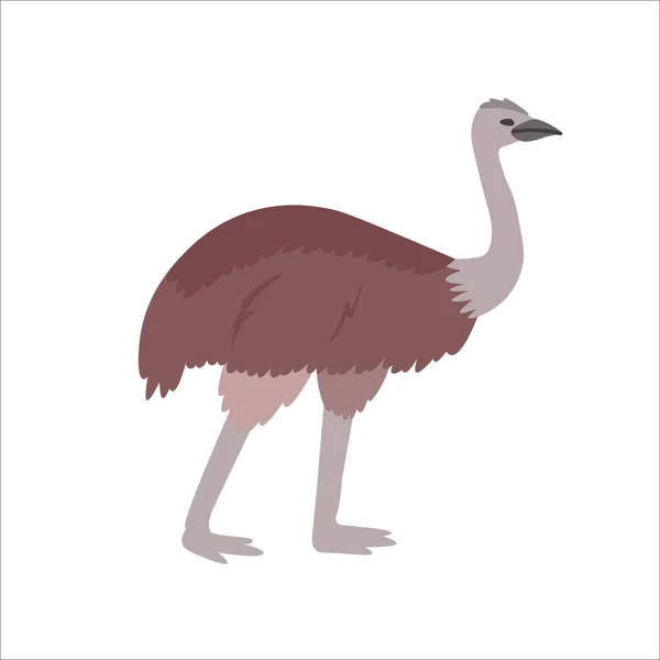 Karikatur Strauß Emu Auf Weißem Hintergrund Flache Cartoon Illustration Für — Stockvektor