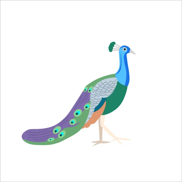 Cartoon Peacock White Background Flat Cartoon Illustration Kids — Stock Vector