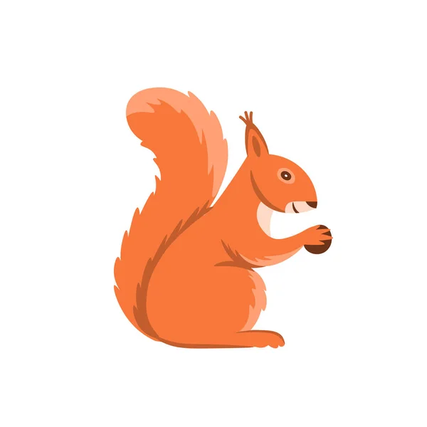Cartoon Squirrel White Background Flat Cartoon Illustration Kids — Stock Vector