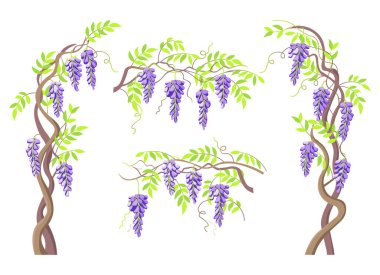 Wormwood tree. Blooming wisteria branches and bunches of flowers, elements for design. Vector cartoon illustration. clipart