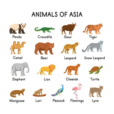  Asya 'nın Hayvanlar: panda, timsah, kaplan, deve, ayı, leopar, kar leoparı, fil, aslan, çita, kaplumbağa, lori, gaur, firavun faresi, tavus kuşu, flamingo, vaşak beyaz bir zemin üzerinde vaşak..