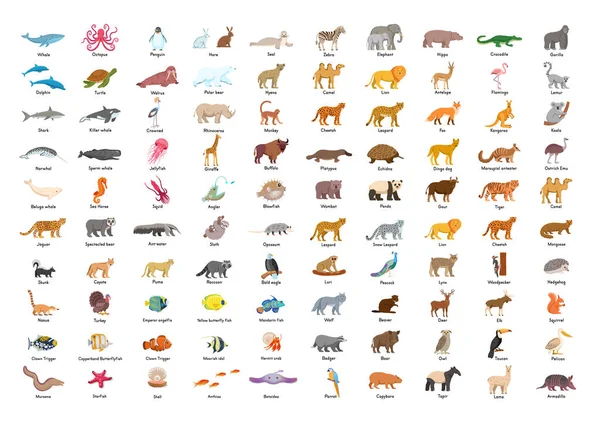 Большой Набор Животных Рыб Птиц Титулами Детей 100 Анимированных Персонажей — стоковый вектор