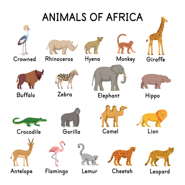 Ζώα Της Αφρικής Ύαινα Καμηλοπάρδαλη Ζέβρα Ελέφαντας Κροκόδειλος Γορίλλας Λιοντάρι — Διανυσματικό Αρχείο