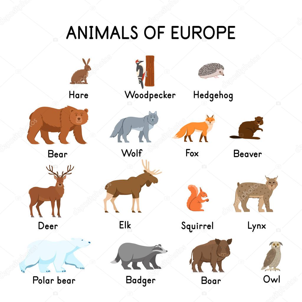 Animals of Europe : hare, woodpecker, hedgehog, bear, wolf, fox, beaver, deer, elk, squirrel, lynx, polar bear, owl, boar, badger on a white background.Flat cartoon.