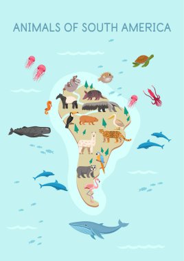  Amerikan hayvan haritasının güneyi: Toucan, pelikan, kaplumbağa, papağan, capybara, tapir, lama, jaguar, gözlüklü ayı, flamingo, miskin, armadillo, beyaz bir arka planda karınca yiyen. Düz çizgi film çizimi