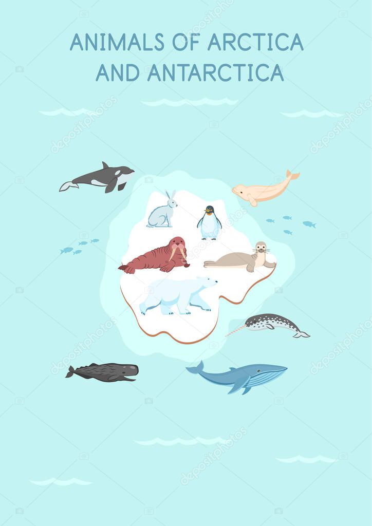 Animals of the arctica and antarctica map: penguin, hare, whale, seal, killer whale, polar bear, walrus, sperm whale, narwhal, beluga whale on a white background.Flat cartoon illustration for kids.