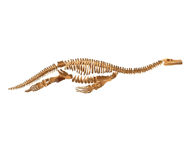 Σκελετός Ichthyosaur Λευκό Φόντο — Διανυσματικό Αρχείο