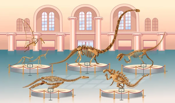 Sala Museo Paleontología Con Esqueletos Dinosaurios Gran Conjunto Esqueletos Dinosaurios — Vector de stock