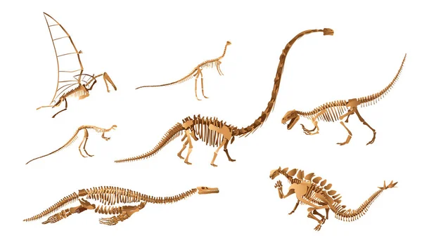 恐竜の骨格の大きなセット — ストックベクタ