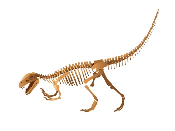 Tyrannosaur Skeleton White Background — Stock Vector