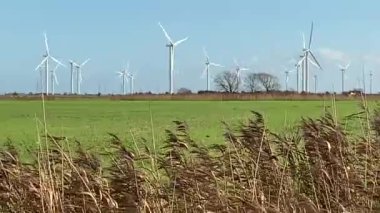 Elektrik enerjisi üreten rüzgar türbinleri. Yel değirmeni rüzgar teknolojisi üretimi Rüzgar türbinleri yeşil alanda çiçek açan bir alanda duruyor. 