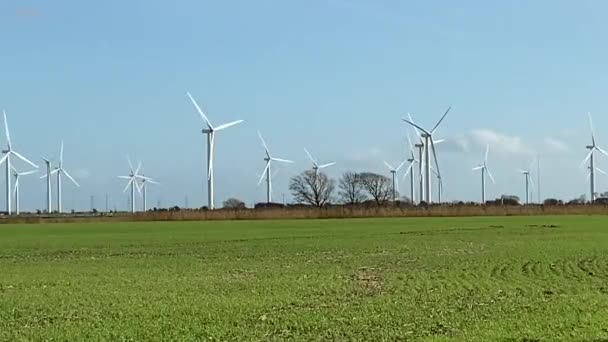 Grüner Grashintergrund Auf Der Wiese Mit Wassertautropfen Nahaufnahme Schöne Künstlerische — Stockvideo