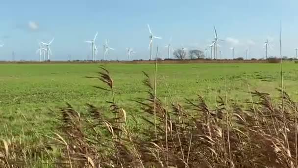 Windräder Die Strom Produzieren Windkrafttechnik Produziert Windräder Die Auf Der — Stockvideo