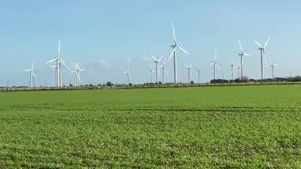 风力涡轮机产生电能 风力发电技术生产的风力涡轮机矗立在绿地繁茂的田野上 — 图库视频影像