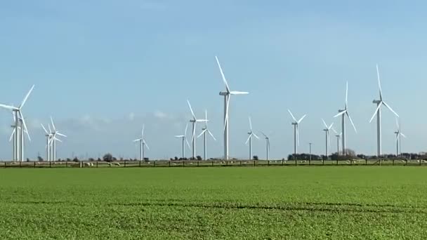 Windräder Die Strom Produzieren Windkraftanlagen Stehen Auf Blühenden Feldern Auf — Stockvideo