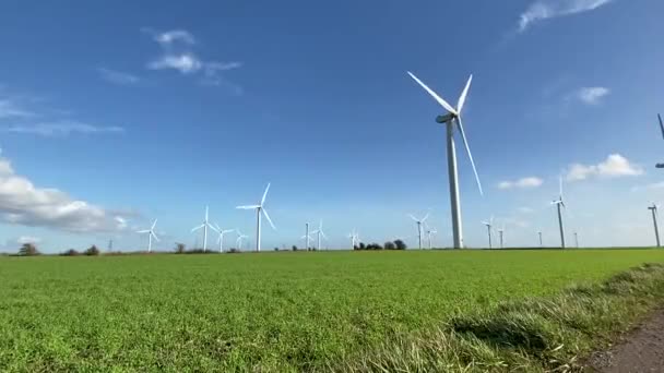 Windräder Die Strom Produzieren Windkraftanlagen Stehen Auf Blühenden Feldern Auf — Stockvideo