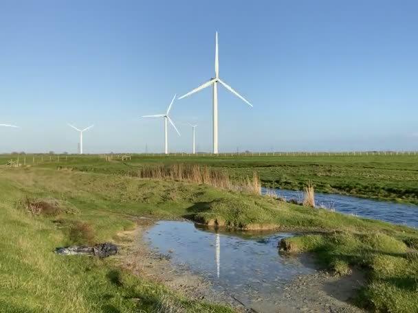 Birikintisine Yansıyan Elektrik Enerjisi Üreten Rüzgar Türbinleri Yel Değirmeni Rüzgar — Stok video