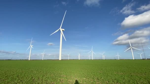 Windräder Die Strom Produzieren Windkraftanlagen Stehen Auf Blühenden Feldern Auf — Stockvideo