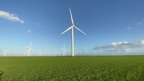 Windräder Die Strom Produzieren Windkraftanlagen Stehen Auf Blühenden Feldern Auf — Stockvideo