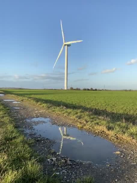 水溜りに反射する電気エネルギーを生み出す風力タービン 風車風力発電技術生産緑の畑に立つ風車 — ストック動画