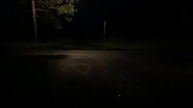 Gece vakti minibüs ve yalnız Victoria sokak lambasıyla şehir yoluna çık.