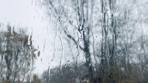 水の背景から見える雨の水が窓ガラスの木に落ち — ストック動画