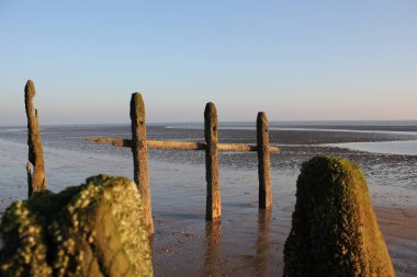 Winchelsea plajı manzarası alçak gelgitte düz kumu ortaya çıkarıyor ve gün batımında kumdan çıkan ahşap deniz Groyneleri