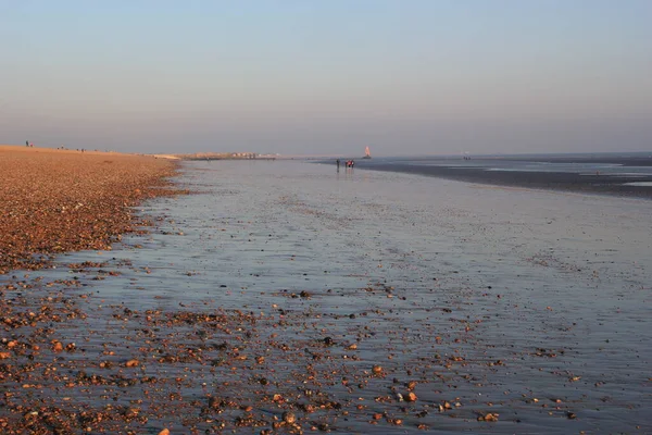 Winchelsea Plaża Krajobraz Widok Odpływ Narażając Płaski Piasek Drewnianymi Groynes — Zdjęcie stockowe