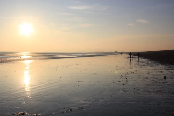 Spiaggia Winchelsea East Sussex Vista Sul Paesaggio Con Bassa Marea — Foto Stock