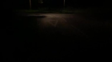 police car - police car driving past very fast at night with police lights flashing under street light on country lane in Winchelsea East Sussex, UK with flashing blue police lights and police siren  - stock footage