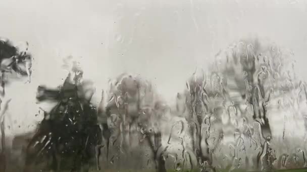 Rüzgâr Yağmur Suyu Pencereye Çarpıyor Ağaçlar Zemininden Görülebiliyor — Stok video